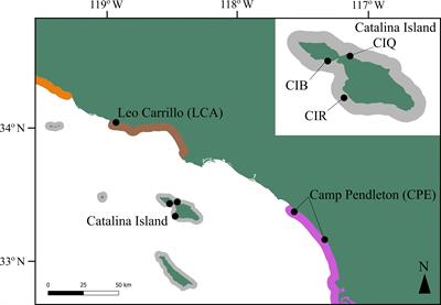 Giant kelp genetic monitoring before and after disturbance reveals stable genetic diversity in Southern California